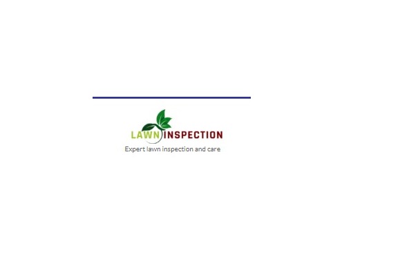 Lawn Inspection Orlando Lawn Care